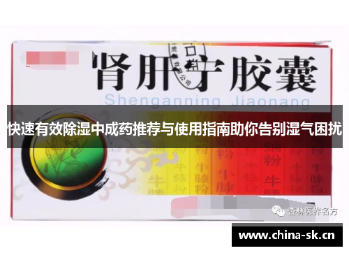 快速有效除湿中成药推荐与使用指南助你告别湿气困扰